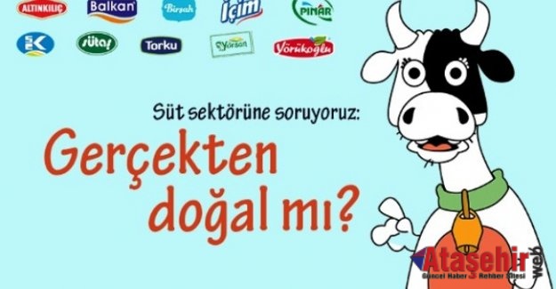 Süt Gerçekten Doğalmı