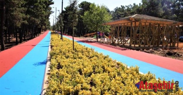 Ümraniye Mesire Alanı Yenilendi