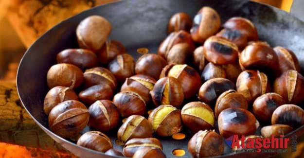 Kestane gribe karşı koruyor