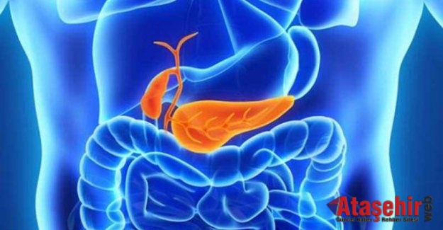 Pankreas kanserinin tedavisi bulundu!