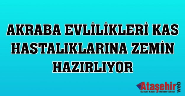 Akraba evlilikleri kas hastalıklarına zemin hazırlıyor