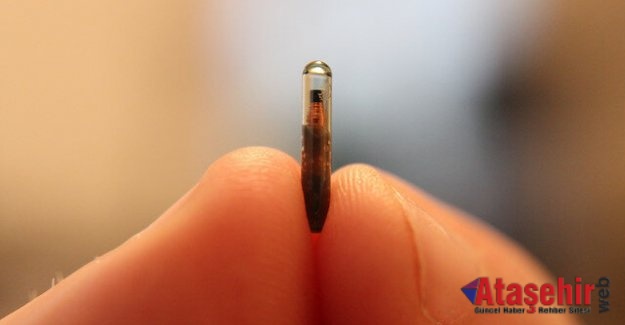 Deri altına çip enjekte teknolojisine ilgi artıyor