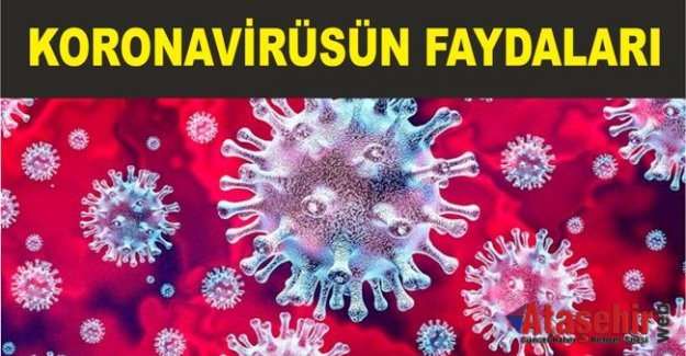 KORONAVİRÜSÜN FAYDALARI