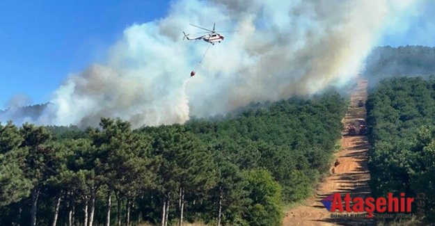 Ataşehir Kayışdağı ormanlık alanında yangın!