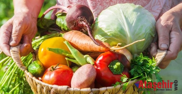 Pandemi yaş meyve sebze ve mamulleri ihracatına fren yaptıramadı