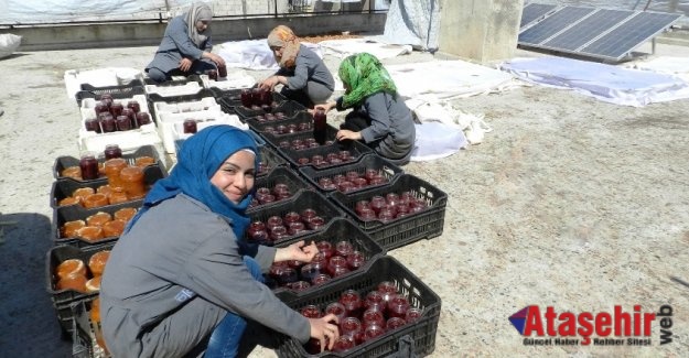 KADINLAR HER KOŞULDA BAŞARIR