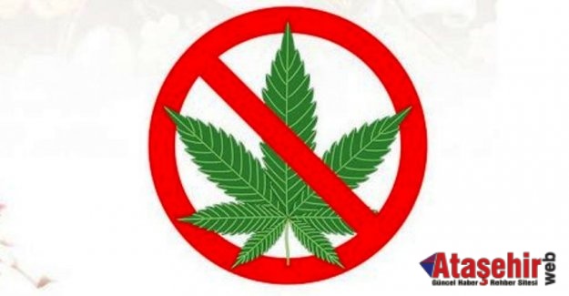 Çocuğunuzun esrar (marihuana, ot) kullandığını nasıl anlarsınız