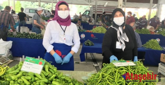 Kayseri’de organik tarım bereketi