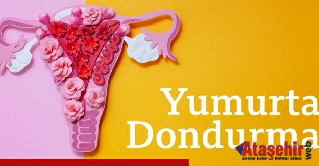 YUMURTA DONDURMA İŞLEMİ