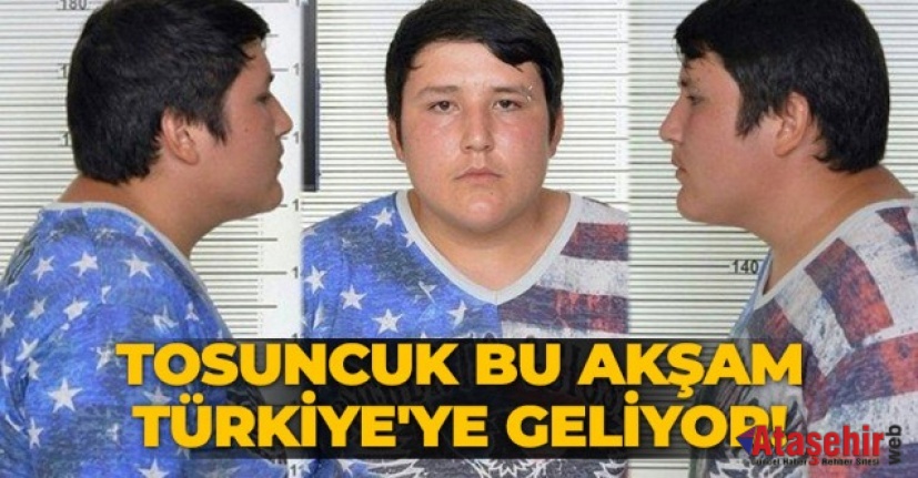 Tosuncuk' Türkiye'ye getiriliyor