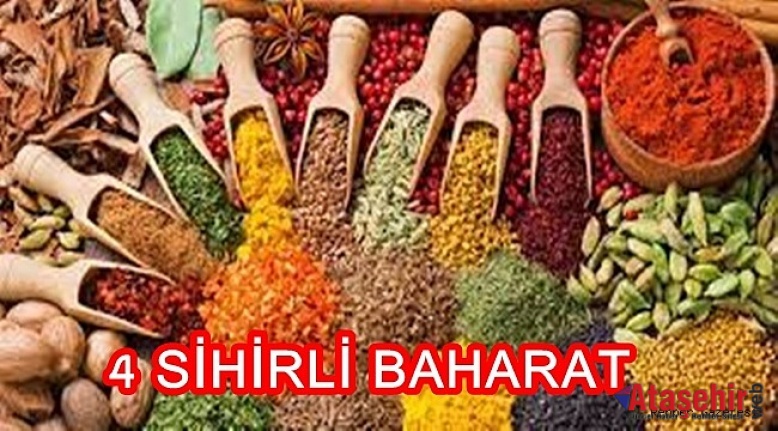 4 SİHİRLİ BAHARAT