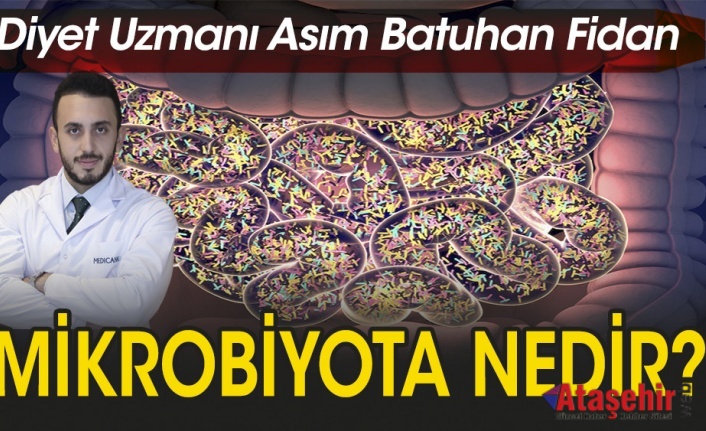 Mikrobiyota nedir?
