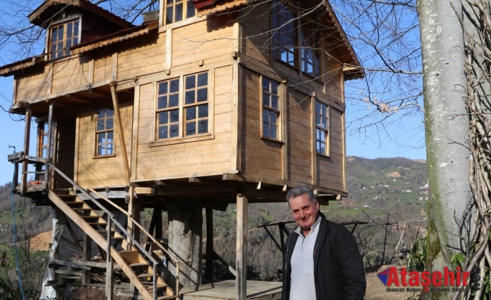 150 yıllık ağacın gövdesine 2+1 ev yaptı.