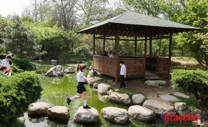 BALTALİMANI JAPON BAHÇESİ’NDE EŞSİZ BİR İLKBAHAR DENEYİMİ