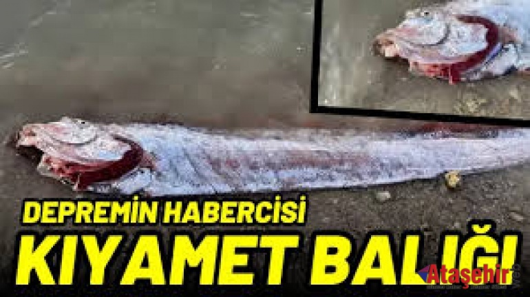 Kıyamet Balığı' depremin habercisi mi