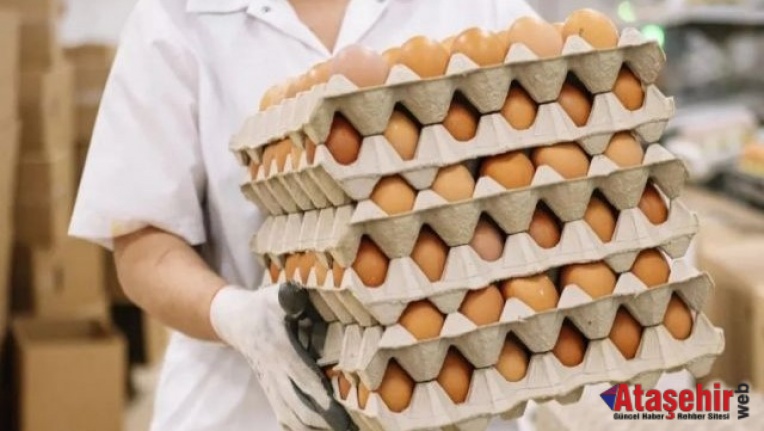 Yumurta Dünya'da kıymetlendi