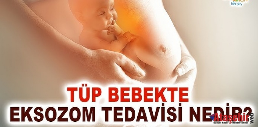Tüp bebekte destek yöntem: eksozom tedavisi