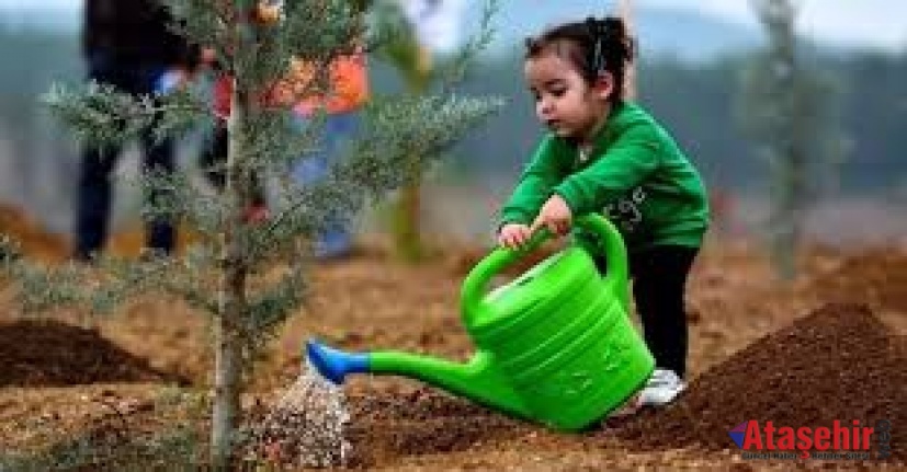 Fidan dikmek için bir günlük resmi tatil ilan edilmeli