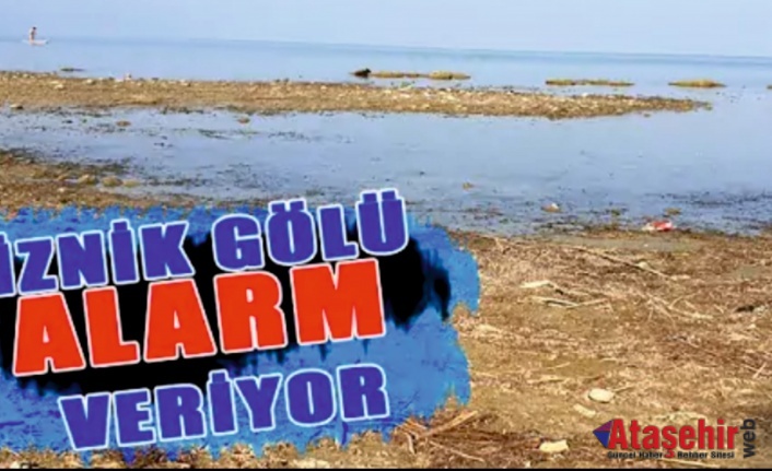 İznik Gölü adeta bir yardım çığlığı atıyor. 