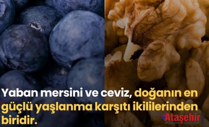 Doğanın Güçlü İkilisi: Yaban Mersini ve Ceviz