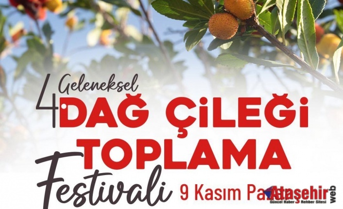 Geleneksel Dağ Çileği Festivali Başlıyor