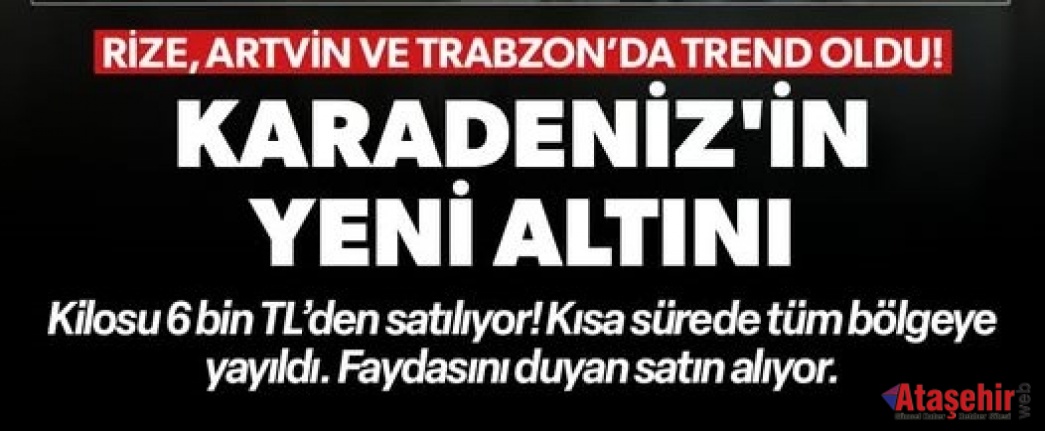 Karadeniz’in Yeni Altını: Çay Çiçeği Çayı!