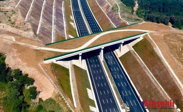 Kuzey Marmara Otoyolu ve Ekolojik Köprüler