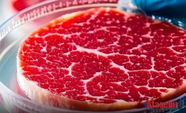 Macaristan’da Laboratuvar Eti Yasaklandı