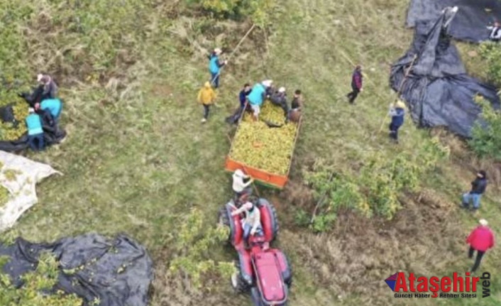 Mimar Baba ve Mühendis Kızı, Çorak Araziden 20 Ülkeye İhracata Ulaştı