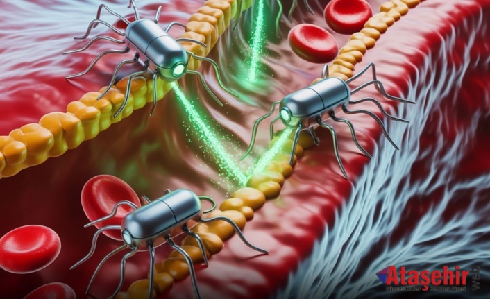 Tıpta Yeni Dönem: Hasar Gören Organları İçeriden Onaran Nanobot Sürüsü