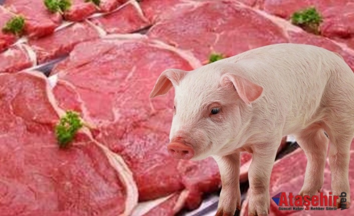 Türkiye’de Domuz Eti Satışının En Yoğun Olduğu İller Açıklandı: Balıkesir 5. Sırada