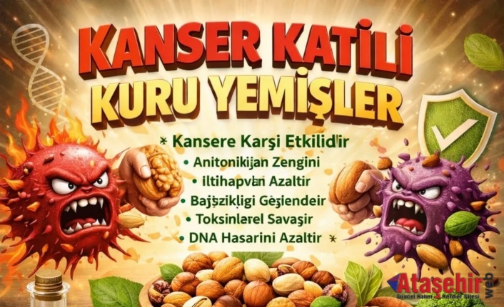 Kuru Yemişler: Sadece Atıştırmalık Değil, Güçlü Bir Savunma Kaynağı