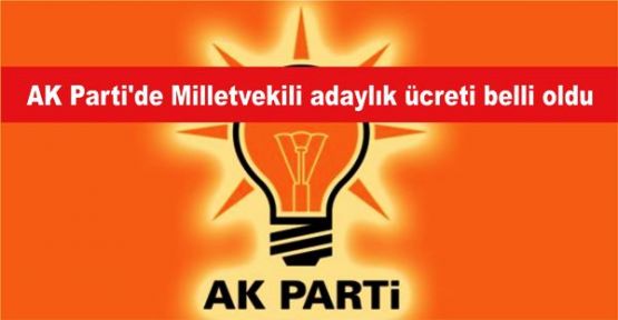 AK Parti'de Milletvekili adaylık ücreti belli oldu