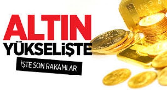 Altın 4 ayın zirvesinde