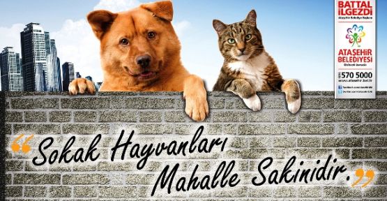 Ataşehir’de 25 bin çocuğa hayvan sevgisi anlatılacak