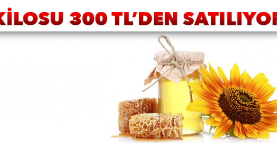 Ayder balının kilosu 300 lira