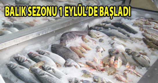 Balık Sezonu 1 Eylülde Başlıyor