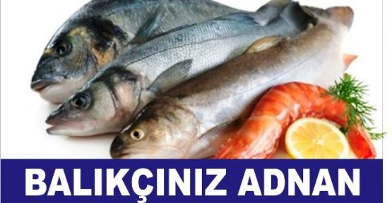 BALIKÇINIZ ADNAN, ATAŞEHİR