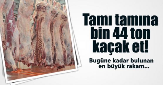 Bin 44 ton kaçak et ele geçirildi