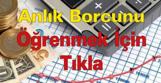 Borcunuz var mı? Nekadar Borcum Var, Tıklayın, öğrenin