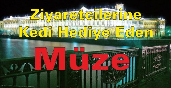 Bu Müze Ziyaretcilerine Kedi Hediye Ediyor