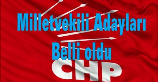 CHP'nin milletvekili adaylarının tam listesi