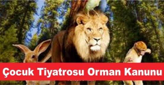 Çocuk Tiyatrosu Orman Kanunu, Ataşehir Andromeda AVM'de