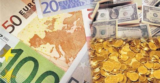 Finansal Yatırım Araçlarının Reel Getiri Oranları, Haziran 2014