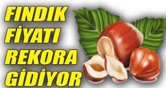 Fındık fiyatı yeniden yükselişe geçti