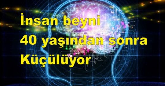 İnsan beyni 40 yaşından sonra küçülüyor