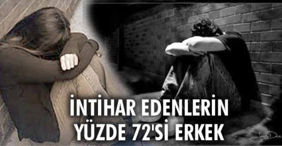 İntihar İstatistikleri, 2013