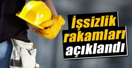 İşsizlik oranı %11,3 seviyesinde gerçekleşti 