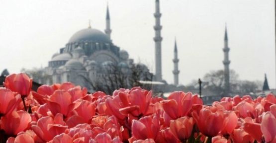 İstanbul Lalesiyle Buluşuyor