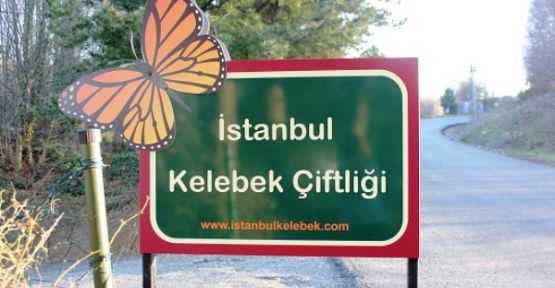 İstanbul’da bir cennet köşesi